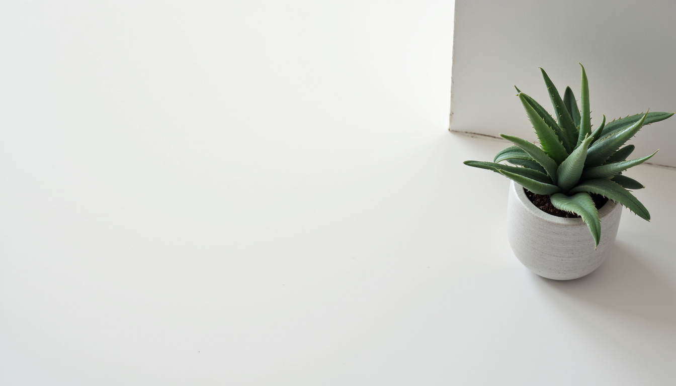 Votre projet immobilier à Nice : avis et conseils 2026